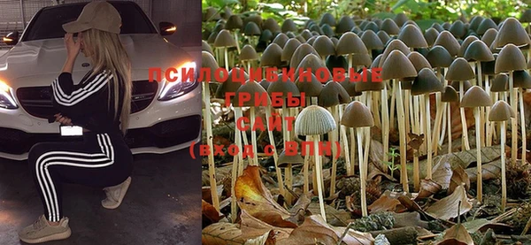 не бодяженный Армянск
