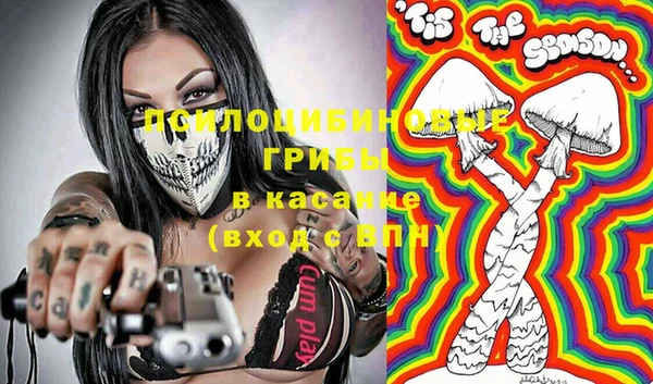 эйфоретик Аркадак