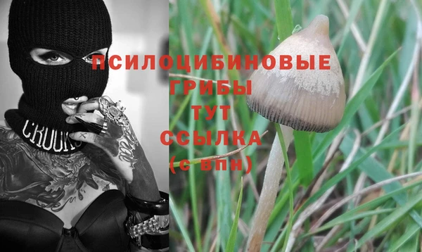 эйфоретик Аркадак