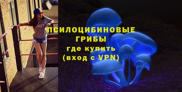 эйфоретик Аркадак