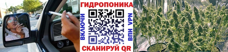 Конопля планчик  omg tor  Лангепас 